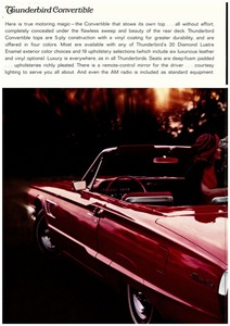 1965 Ford Thunderbird-10.jpg